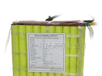 供应镍氢充电电池 F12000mAh 144V
