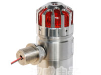 供应RS100防爆声光报警器RS100
