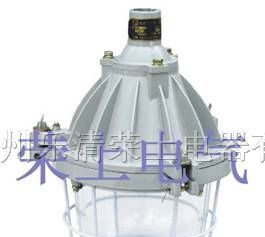 供应BAD51，防爆灯，防爆应急灯，隔爆型防爆灯