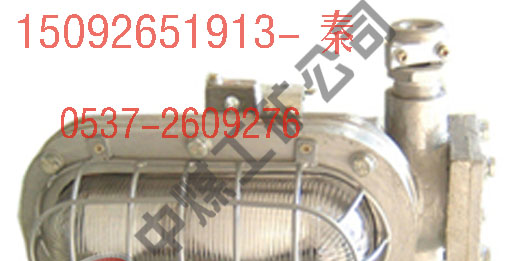供应DGS支架灯 LED支架灯