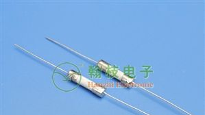 T5*20双帽引线陶瓷管保险丝