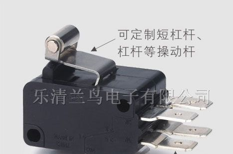 供应微动开关RV-165S-1C5/2
