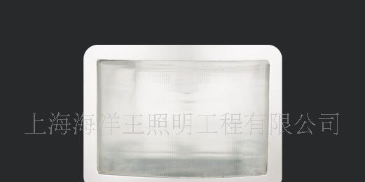 SHNYE9100A防眩应急通路灯