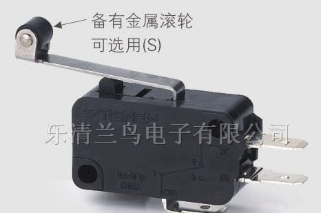 供应微动开关RV-166-1C25