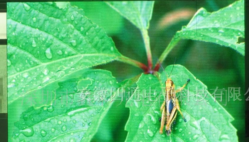 供应靖江LED显示屏-靖江全彩LED显示屏