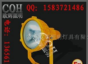 维库电子 供应BTC8210 led防爆投光灯