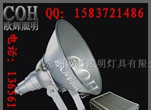 供应 NTC9210 防震投光灯 欧辉生产厂家 维库电子