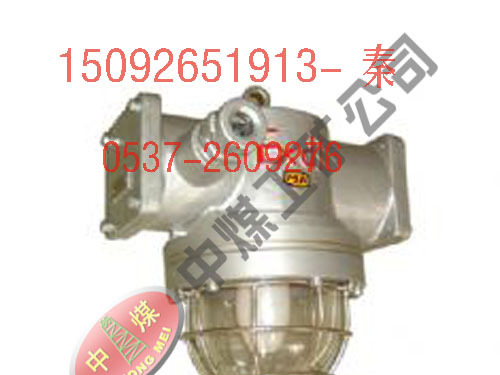 供应DGS35/127N(B)支架灯 LED支架灯 高压钠支架灯