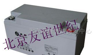 供应东阳、台州-临海圣阳蓄电池、圣阳蓄电池经销商