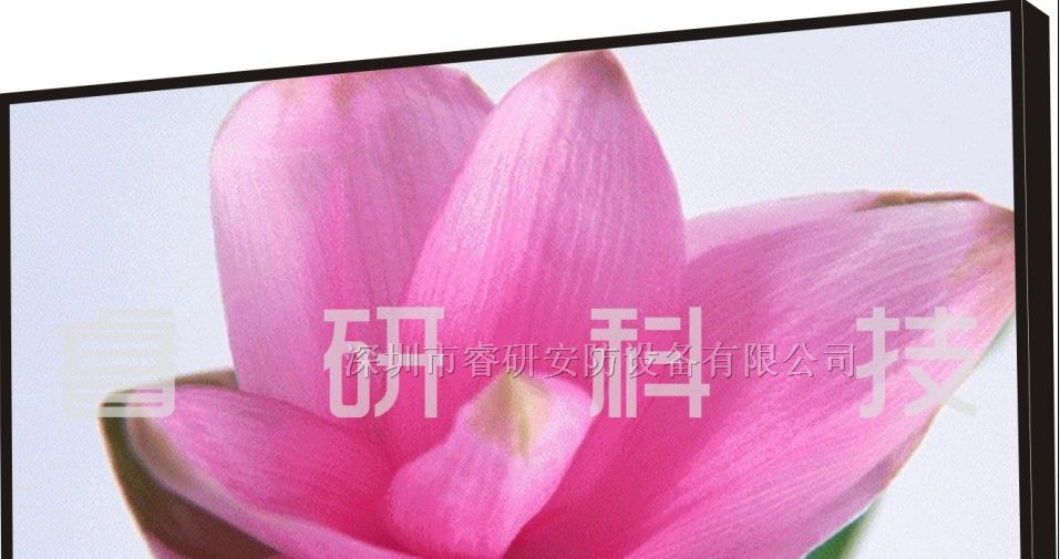 供应55寸液晶监视器