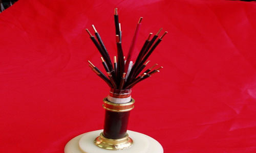 编织屏蔽控制电缆型号