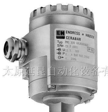 供应 E+H变送器 华中总代理