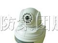 供应3G视频防盗器，3G远程监控报警器
