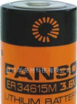供应ER34615,ER34615M锂亚电池(可用于GPS系统)