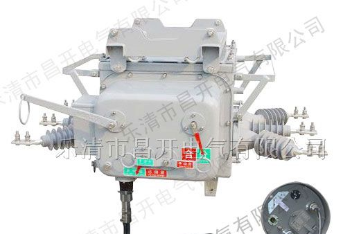 供应ZW20B-12F户外真空断路器12