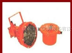 供应矿用隔爆型投光灯