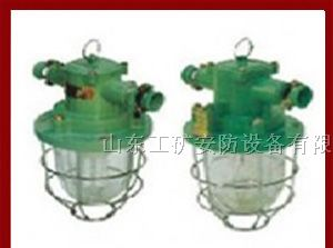 供应矿用隔爆型白炽灯