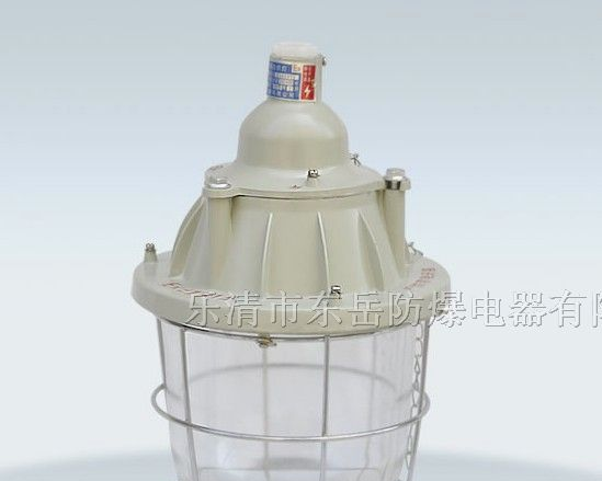 BCD-250隔爆型防爆灯