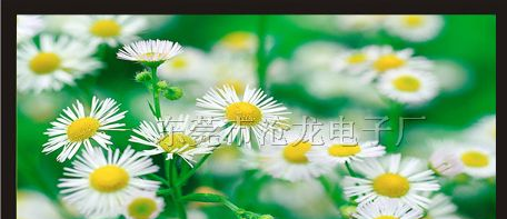 供应65寸DID液晶监视器/工业级液晶监视器