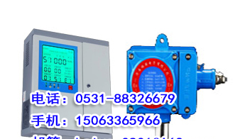 供应RBK-6000-Z型氨气报警器