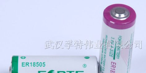 供应3.6V智能表电池ER18505M AA size