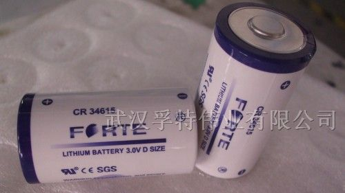供应3.0V CR34615 D size 锂锰电池