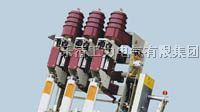 供应FZN25-12/630A户内高压真空负荷开关