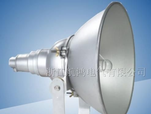 NTC9210防震型投光灯(＼)250W/400W防震投光灯