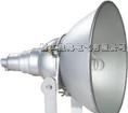 NTC9200防震型投光灯 1000W防震投光灯