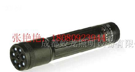 供应温州微型防爆电筒厂家