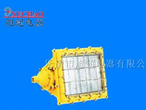 供应BTC6160  防爆泛光灯  BTC6160