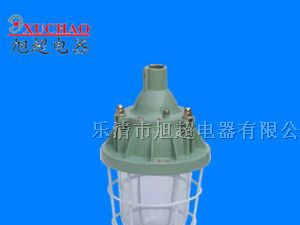 供应BAD51 隔爆型防爆灯  BAD51