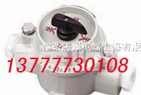 供应SW-10防爆照明开关|拉线开关|照明开关