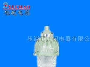供应BAD5020 隔爆型防爆灯（IIC） BAD5020
