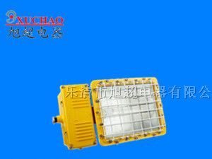 供应 BTC6150 防爆泛光灯 BTC6150