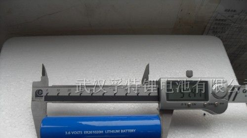 供应3.6V CC ER261020/17AH 电池