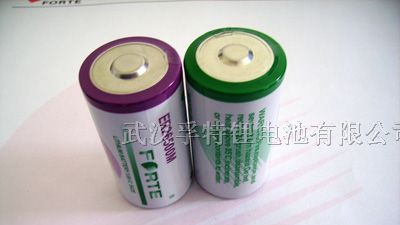 供应3.6V C SIZE ER26500 电池