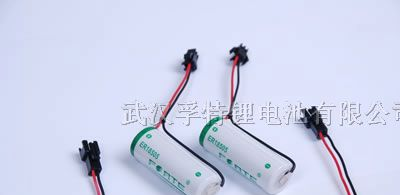 供应3.6V A SIZE ER18505 电池