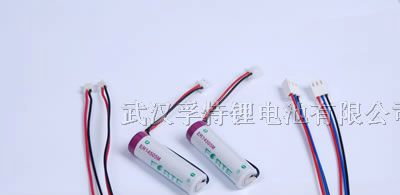 供应3.6V AA SIZE ER14505 电池