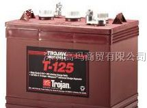 供应美国trojan电池T-125(6V240AH)
