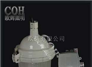 供应NFC9112 防眩泛光灯 分体式的泛光灯