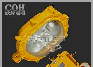 供应BFC8110A防爆泛光灯