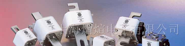供应Bussmann快速熔断器