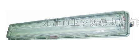供应BYS系列防爆防腐全塑荧光灯|防爆荧光灯
