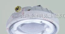 供应CCd96防爆免维护节能照明灯，防爆环形荧光灯