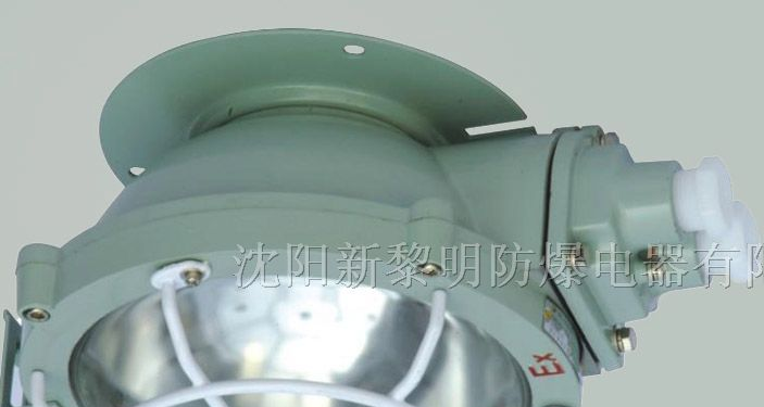 供应BXL-100系列防爆吸顶灯，新黎明防爆吸顶灯价格