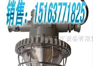 供应 DGS18/127L矿用隔爆巷道灯，矿用灯具，LED矿灯