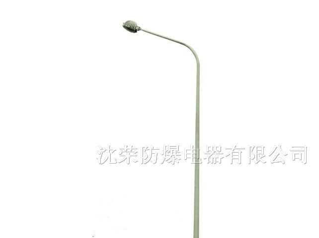 供应BAM防爆马路灯