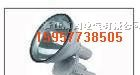 防水防尘防震投光灯H-ZT6900(ZT6900
