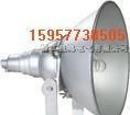 NTC9200防震型投光灯!H-NTC9200